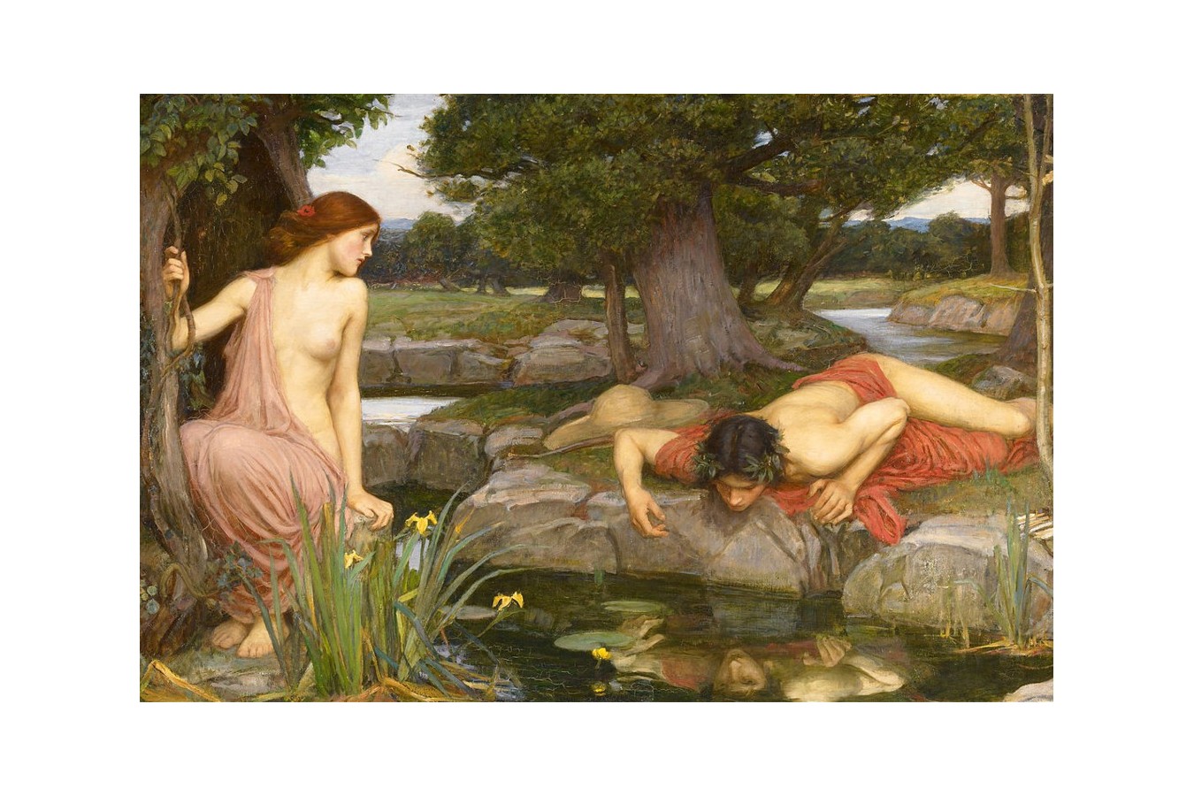 Puzzle D-Toys - John William Waterhouse: Echo and Narcissus, 1.000 piese (Dtoys-72757-WA02-(75048))