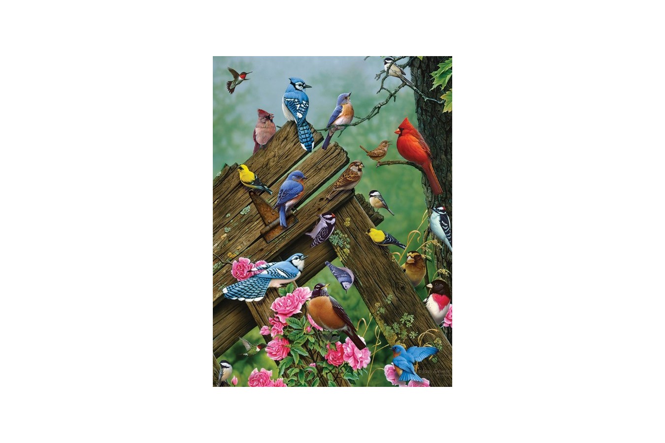Puzzle Cobble Hill - Birds of the Forest, 1.000 piese (Cobble-Hill-80086)
