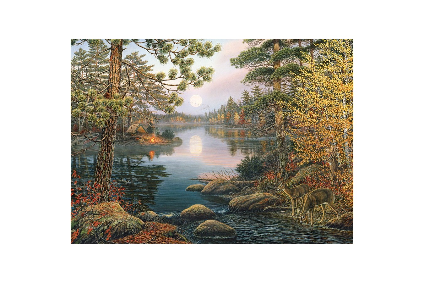 Puzzle Cobble Hill - Deer Lake, 1.000 piese (Cobble-Hill-80139)