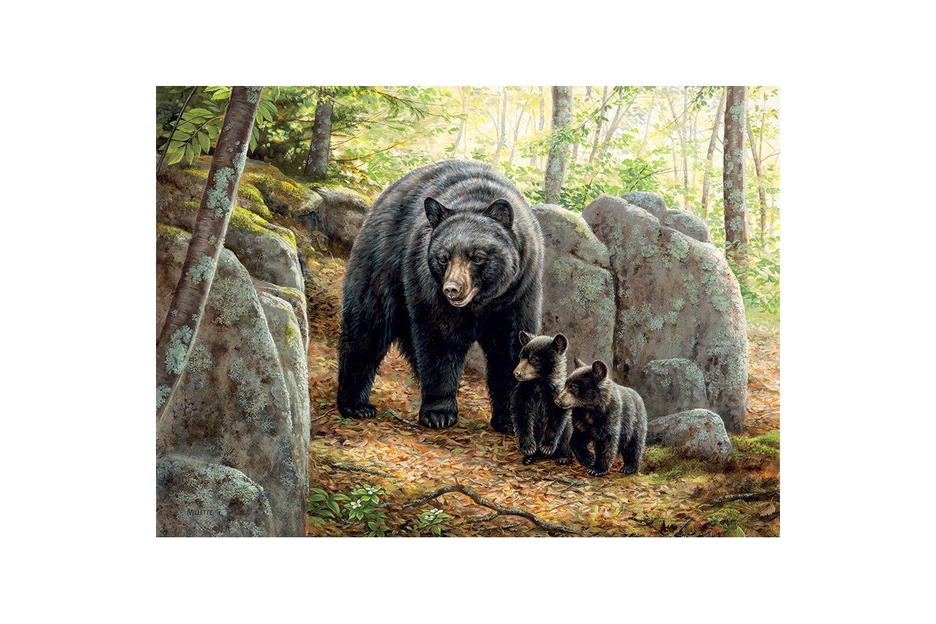 Puzzle Cobble Hill - Mama Bear, 1.000 piese (Cobble-Hill-80154)