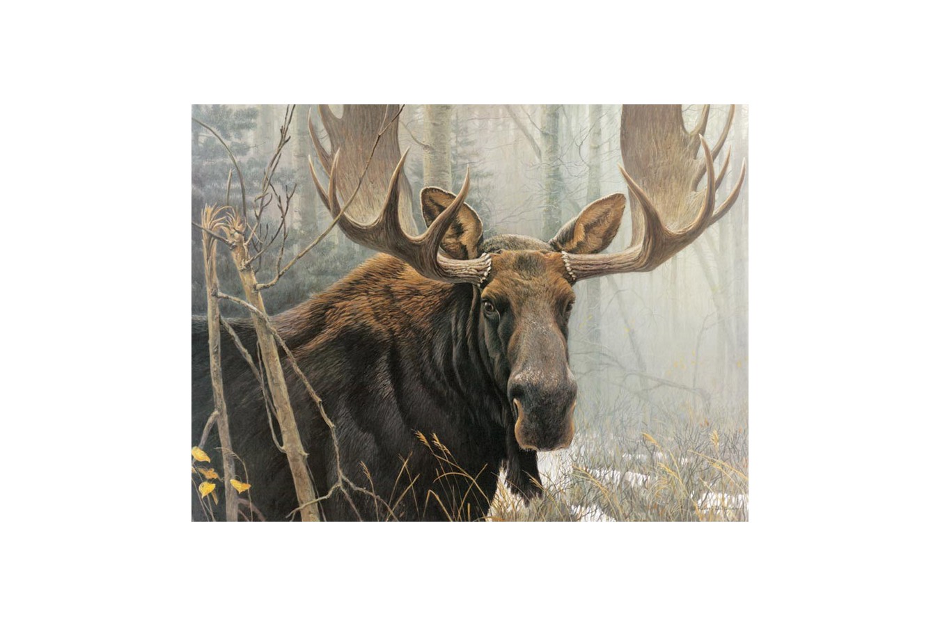 Puzzle Cobble Hill - Bull Moose, 500 piese XXL (Cobble-Hill-85028)