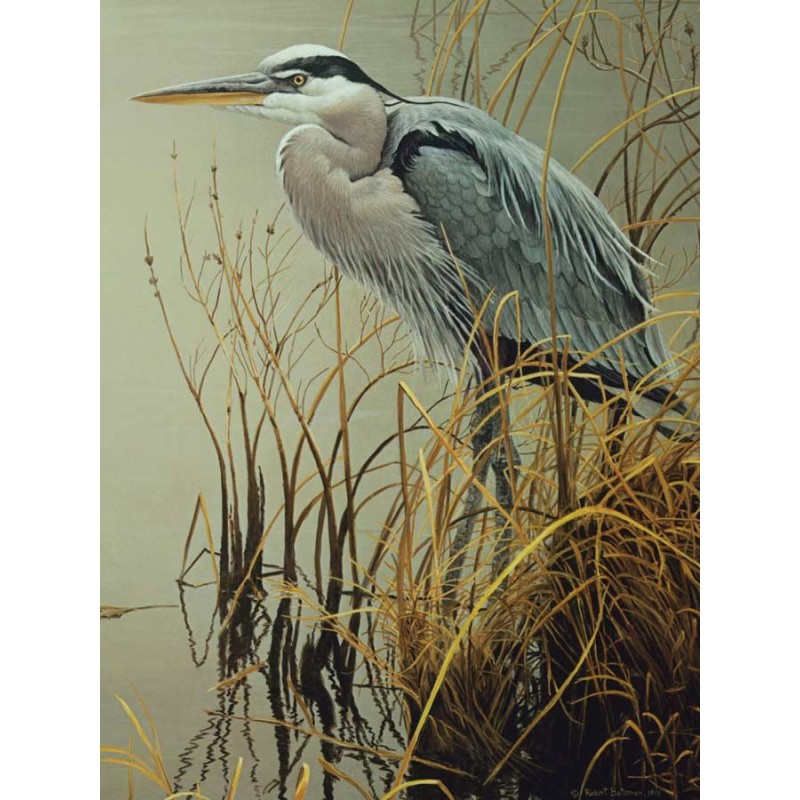 Puzzle Cobble Hill - Great Blue Heron, 500 piese XXL (Cobble-Hill-85029)