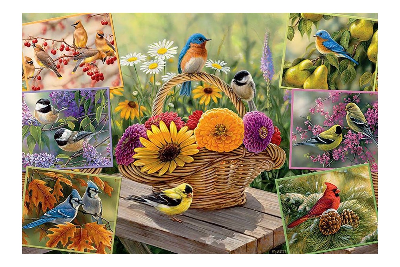 Puzzle Cobble Hill - Rosemary\'s Birds, 2.000 piese (Cobble-Hill-89007)