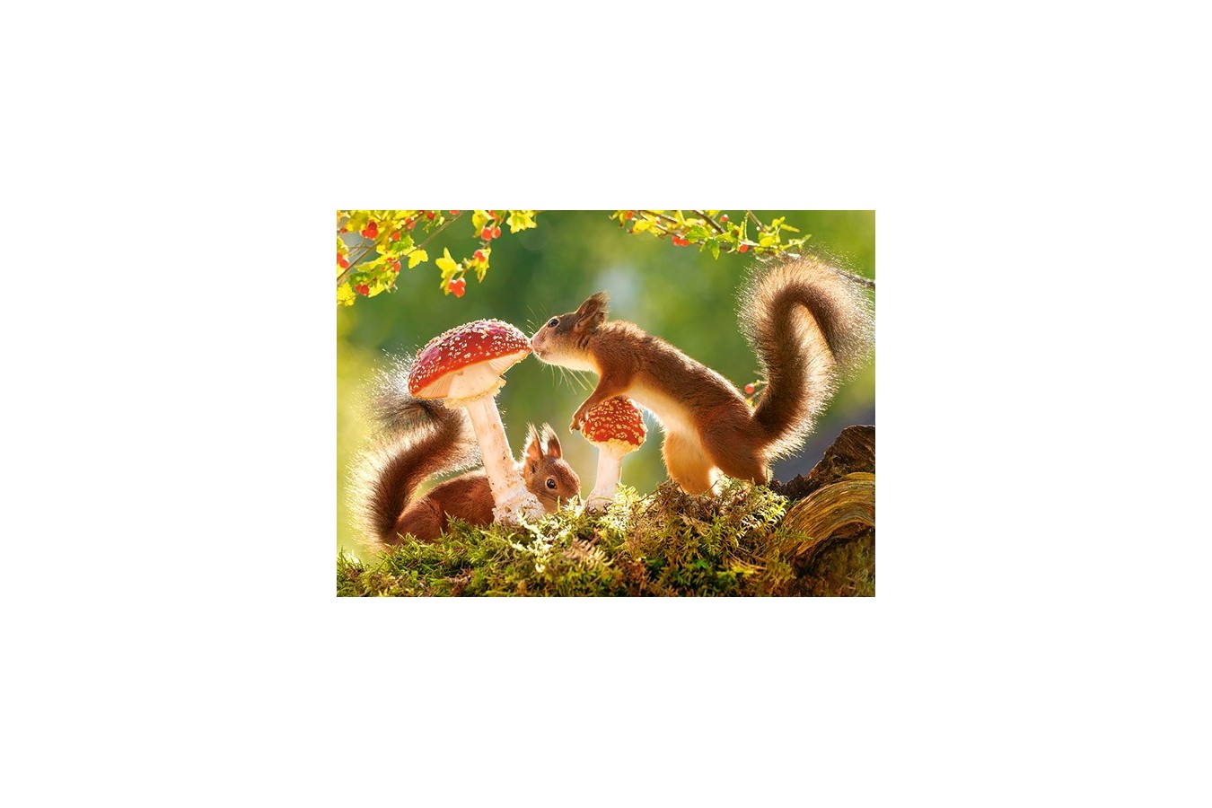 Puzzle Castorland - Squirrel\'s Foret Life, 260 piese (27521)