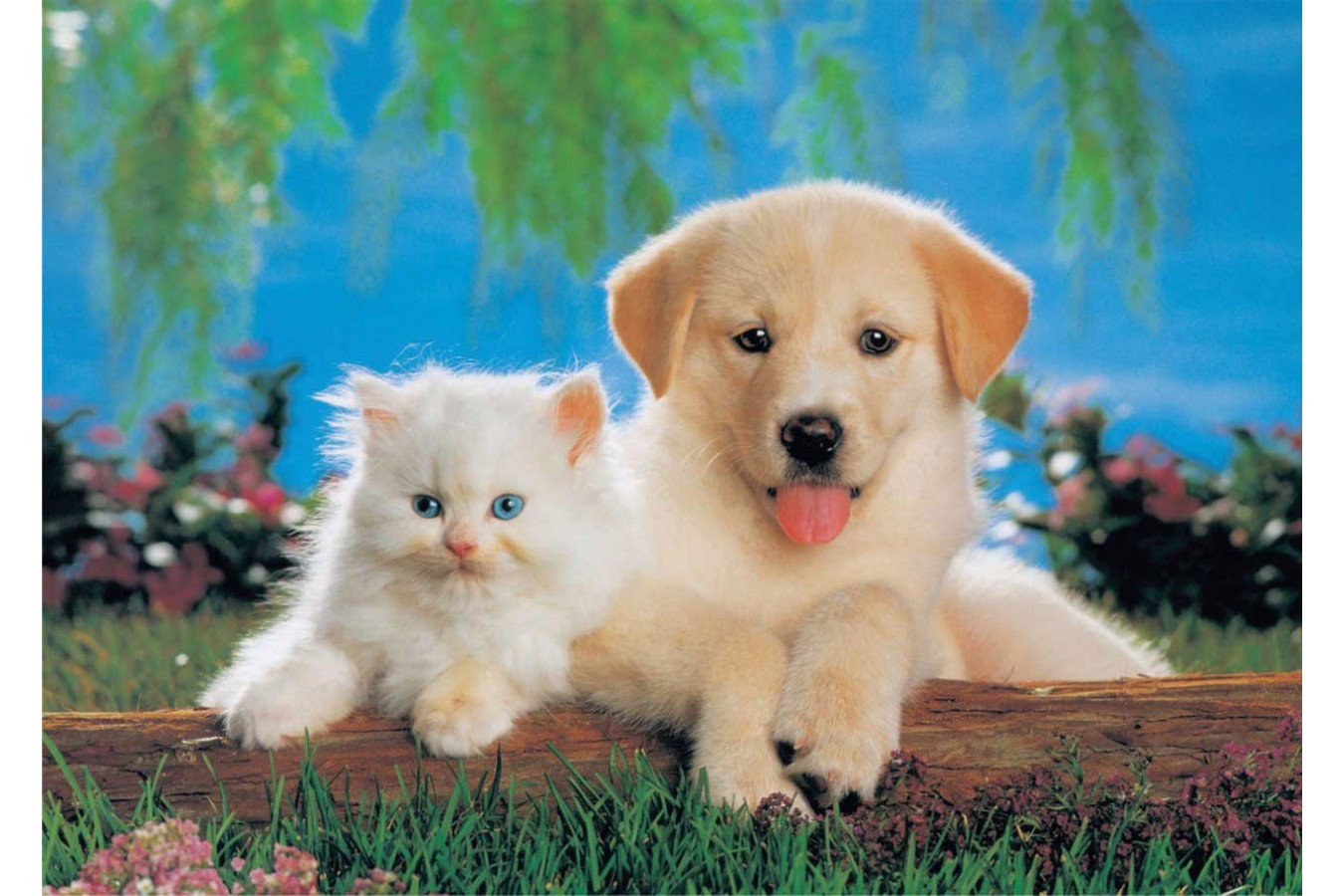 Puzzle KS Games - Cat & Dog, 200 piese (11026)