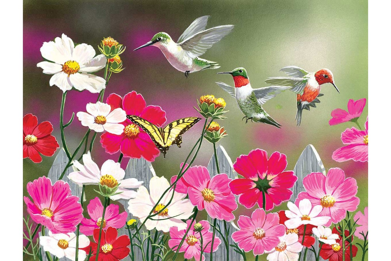 Puzzle SunsOut - Cosmos and Hummingbirds, 500 piese XXL (Sunsout-30412)