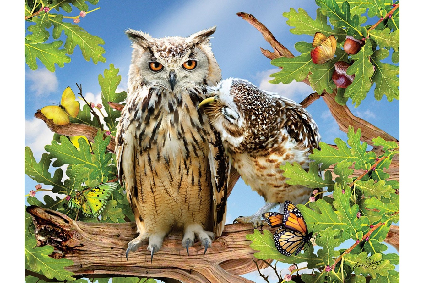 Puzzle SunsOut - Owl Always Love You, 500 piese XXL (Sunsout-34950)