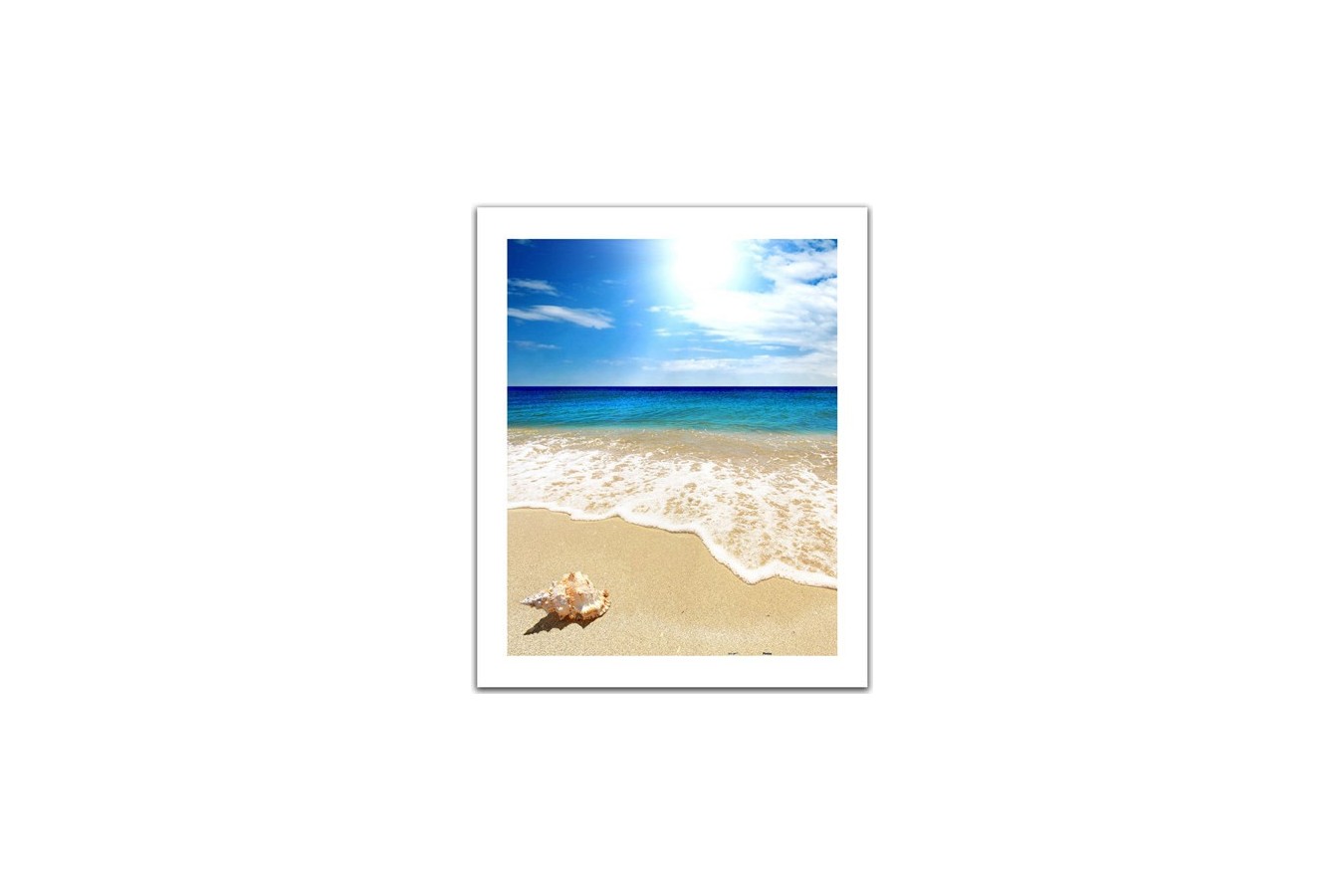 Puzzle din plastic Pintoo - Seashell on the beach, 500 piese (H1335)