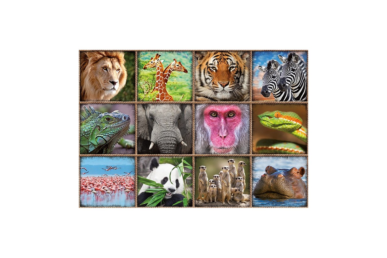 Puzzle Educa - Wild animals collage, 1000 piese, include lipici puzzle (17656)