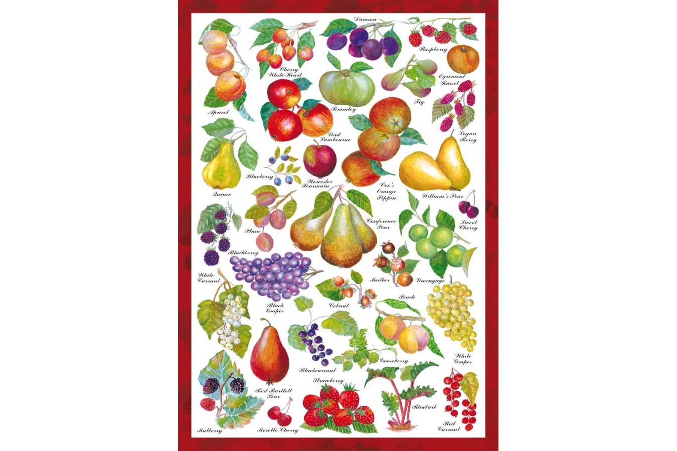 Puzzle Schmidt - Fructe, 1.000 piese (59569)