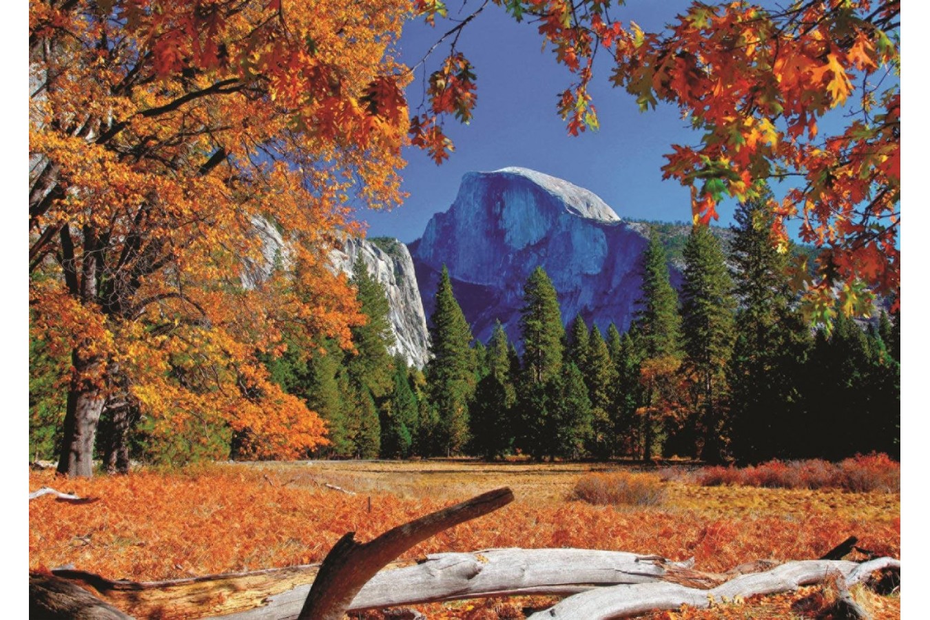 Puzzle Jumbo - Yosemite National Park, USA, 500 piese (18554)