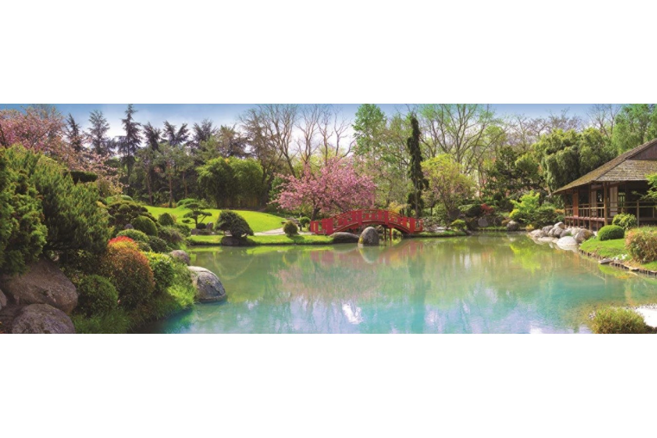 Puzzle panoramic Jumbo - Colored Garden, 1.000 piese (18571)