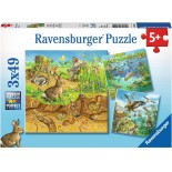 Puzzle Ravensburger -Animals in Their Habitats, 3X49 Piese (08050)