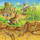 Puzzle Ravensburger -Animals in Their Habitats, 3X49 Piese (08050)
