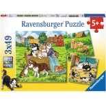 Puzzle Ravensburger -Cats and Dogs, 3X49 Piese (08002)
