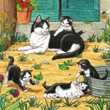 Puzzle Ravensburger -Cats and Dogs, 3X49 Piese (08002)