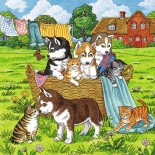 Puzzle Ravensburger -Cats and Dogs, 3X49 Piese (08002)