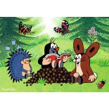 Puzzle Ravensburger - Learning with the Mole , 2X12 Piese (07558)