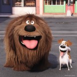 Puzzle Ravensburger - The Secret Life of Pets + Memory, 25/36/49 Piese, + Joc Memorie (06872)