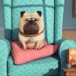 Puzzle Ravensburger - The Secret Life of Pets + Memory, 25/36/49 Piese, + Joc Memorie (06872)