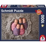 Puzzle Schmidt -Five at a Time, 1000 Piese (58301)