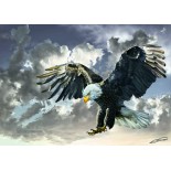 Puzzle Art Puzzle - Black and White, 500 piese (Art-Puzzle-4167)