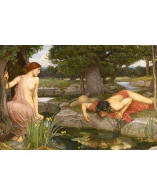 Puzzle D-Toys - John William Waterhouse: Echo and Narcissus, 1000 piese (Dtoys-72757-WA02-(75048))