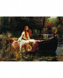 Puzzle D-Toys - John William Waterhouse: The Lady of Shalott, 1000 piese (Dtoys-72757-WA01-(72757))