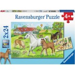 Puzzle Ravensburger -Horses, 2X24 Piese (07833)