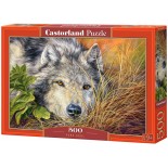 Puzzle Castorland -Pure Soul, 500 Piese (53285)