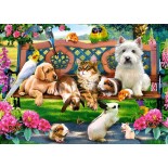 Puzzle Castorland -Pets in the Park, 180 Piese (018444)