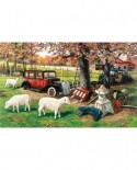 Puzzle SunsOut - Out to Pasture, 300 piese XXL (Sunsout-39471)