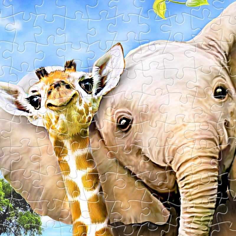 Puzzle din plastic Pintoo - Howard...