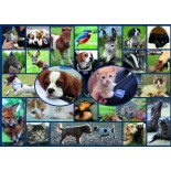 Puzzle Gibsons -All Creatures Great & Small, 1000 Piese (61511)
