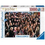 Puzzle Ravensburger - Challenge -Harry Potter, 1000 Piese (14988)