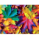 Puzzle Master Pieces - Fall Frenzy, 550 piese (Master-Pieces-31624)