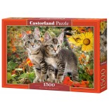 Puzzle Castorland -Kitten Buddies, 1500 Piese (151899)