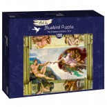 Puzzle 1000 piese - Michelangelo Buonarroti:The Creation of Adam, 1511 (Art-By-Bluebird-60053)