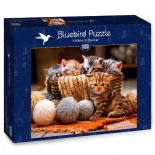 Puzzle Bluebird -Kittens in Basket, 1000 Piese (70467)