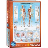 Puzzle Eurographics - Human body, 1000 piese (6000-1000)