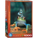 Puzzle Eurographics - Red-Eyed Tree Frog, 1000 piese (6000-3004)
