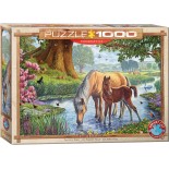 Puzzle Eurographics - Steve Crisp:The Fell Ponies, 1000 Piese (6000-0976)