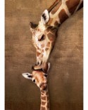 Puzzle Eurographics - The mother Giraffe and its girafon, 1000 piese (6000-0301)