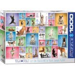 Puzzle Eurographics - Yoga Dogs, 1000 piese (6000-0954)