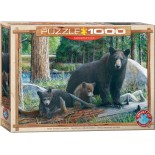 Puzzle Eurographics - New Discoveries, 1000 piese (6000-0793)