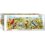 Puzzle panoramic Eurographics - Garden Birds, 1000 piese (6010-5338)