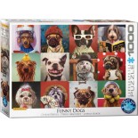 Puzzle Eurographics - Lucia Heffernan:Funny Dogs, 1000 Piese (6000-5523)
