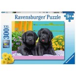 Puzzle Ravensburger - Catelusi, 300 piese XXL (12950)