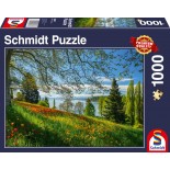 Puzzle 1000 piese - Tulips Flowering:Mainau Island (Schmidt-58967)