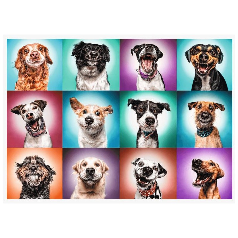 Puzzle 2000 piese - Funny Dog...